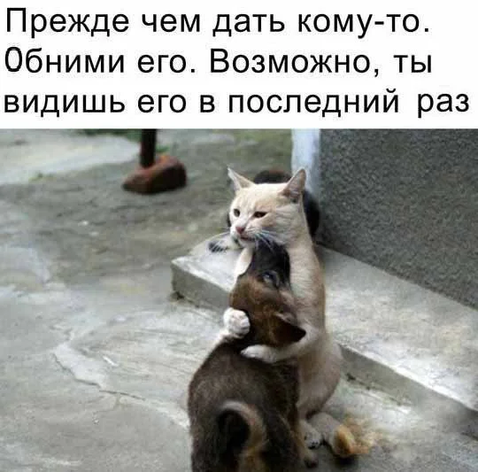 Нестандартный юмор #330