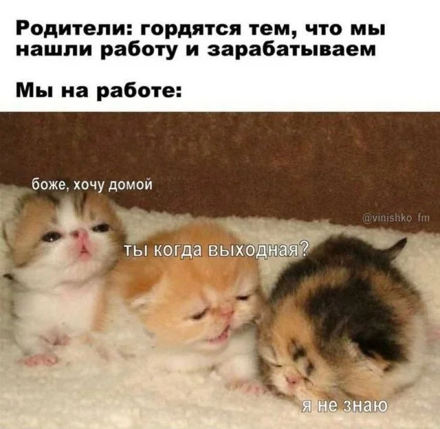 Смешные скрины из соцсетей #22