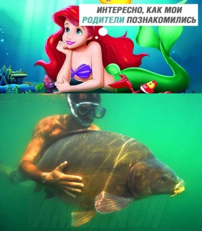 Нестандартный юмор #336