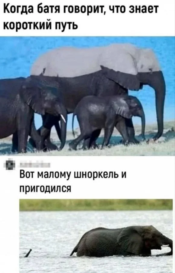 Нестандартный юмор #339