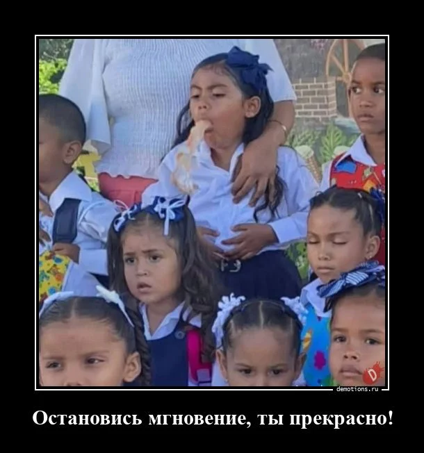 Демотиваторов порция