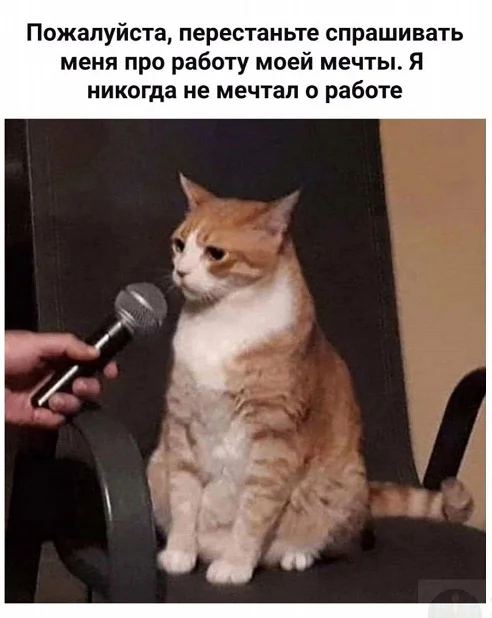 Разные прикольчики