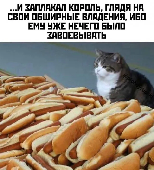Весёлые картинки