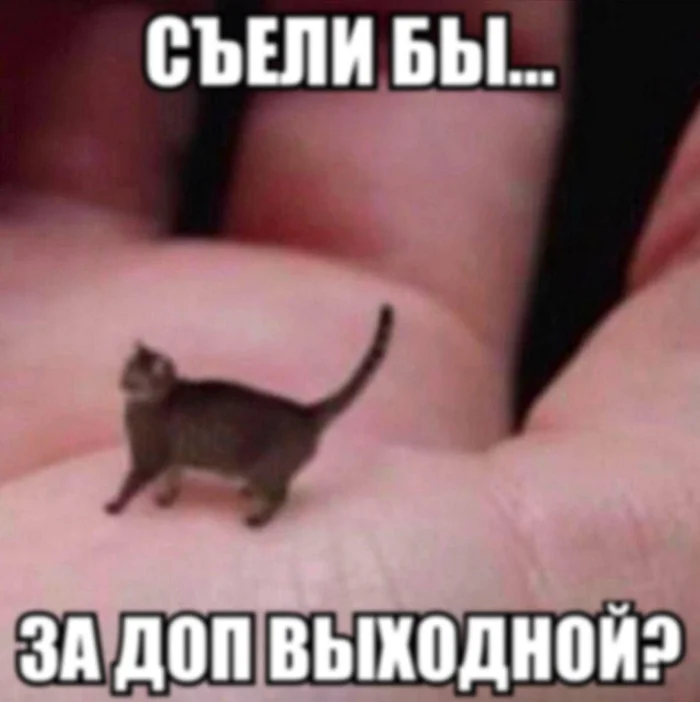 Нестандартный юмор #315