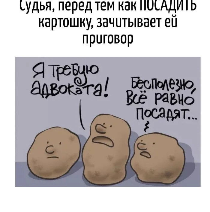 Игра слов #66