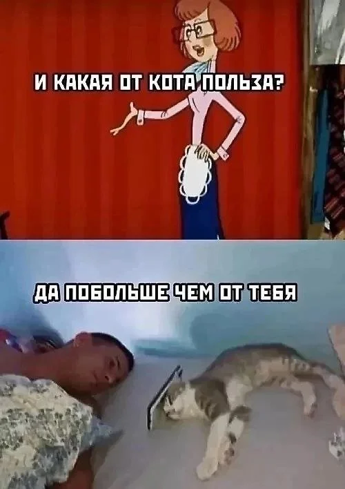 Смешные скрины из соцсетей #14