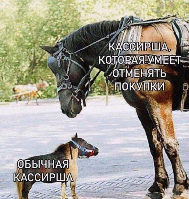 Ого, свежие приколы!