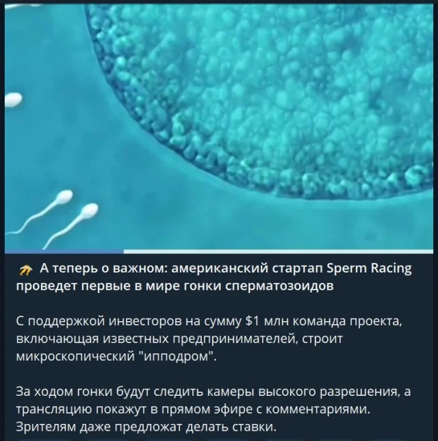 Разные прикольчики