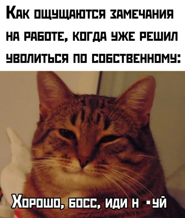 Весёлые картинки