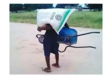 Игра слов #61