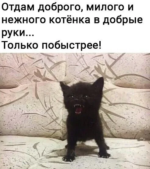 Клёвые картинки