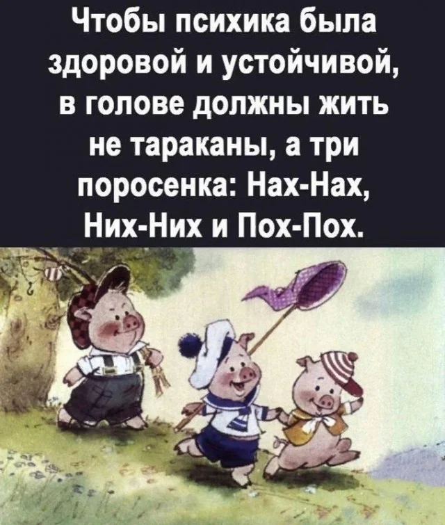 Винегрет из картинок