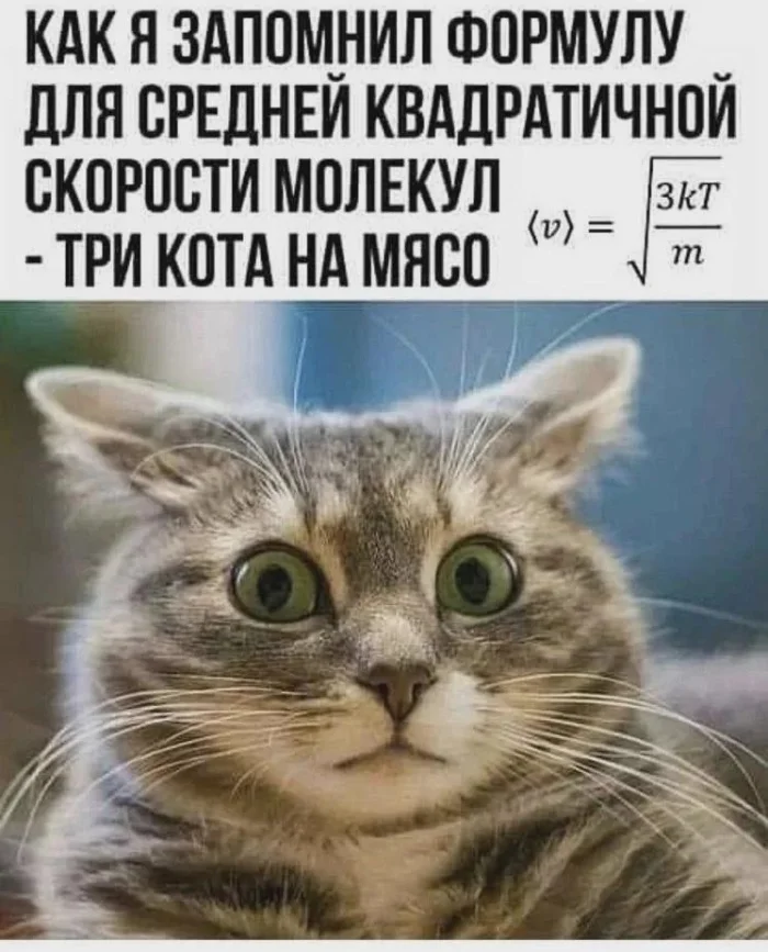 КартинкоПостик