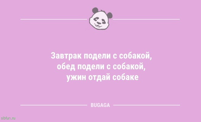 Анекдоты дня: «В детстве искал клад…» 