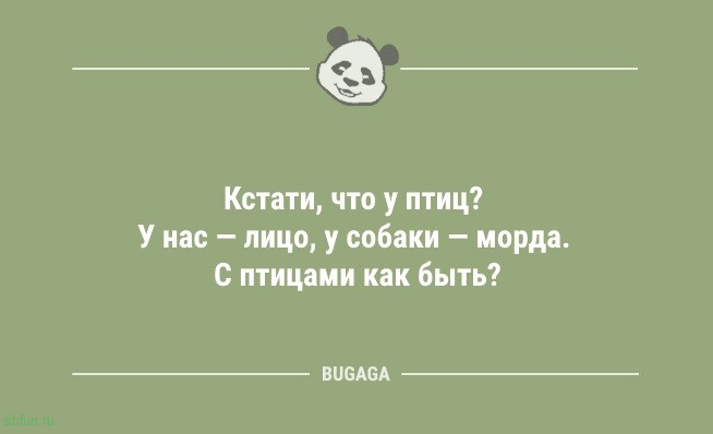 Анекдоты обо всём: «Инстаграм — это такое место…» 