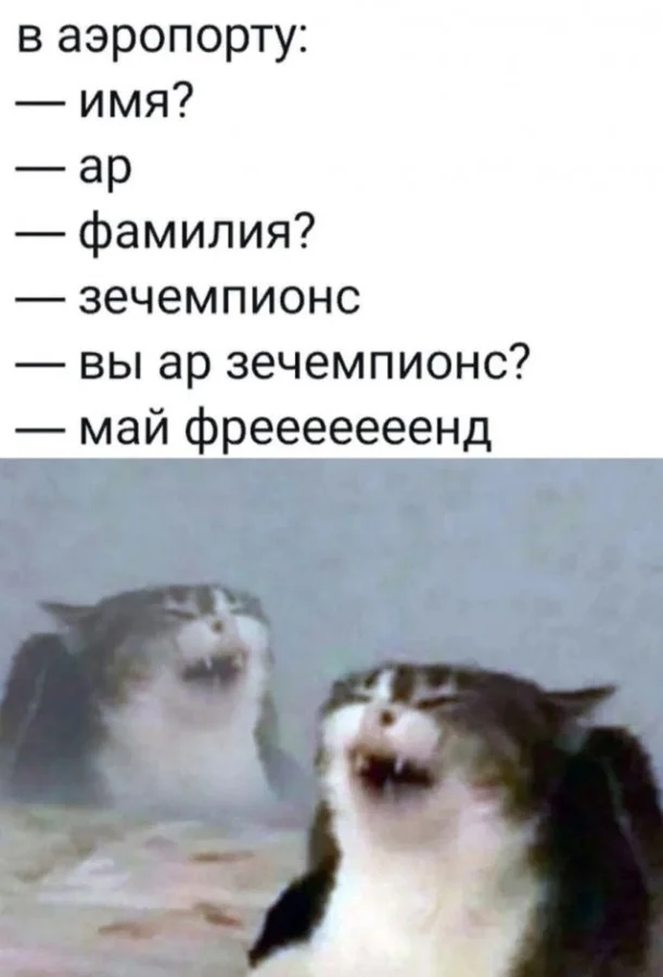 Смешные скрины из соцсетей #25