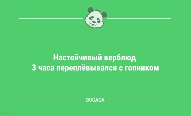 Предпятничные анекдоты: «Первые 5 дней после выходных…» 