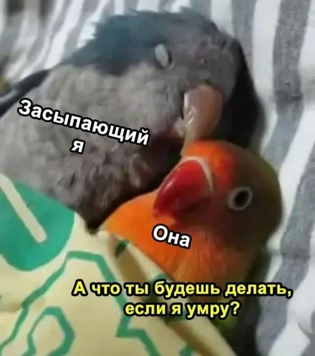 Отборные баяны