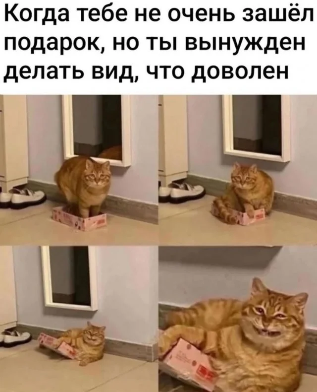 Смешные скрины из соцсетей #30