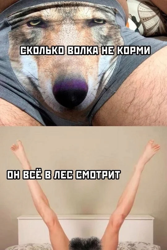Нестандартный юмор #323