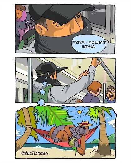 Чутка картинок