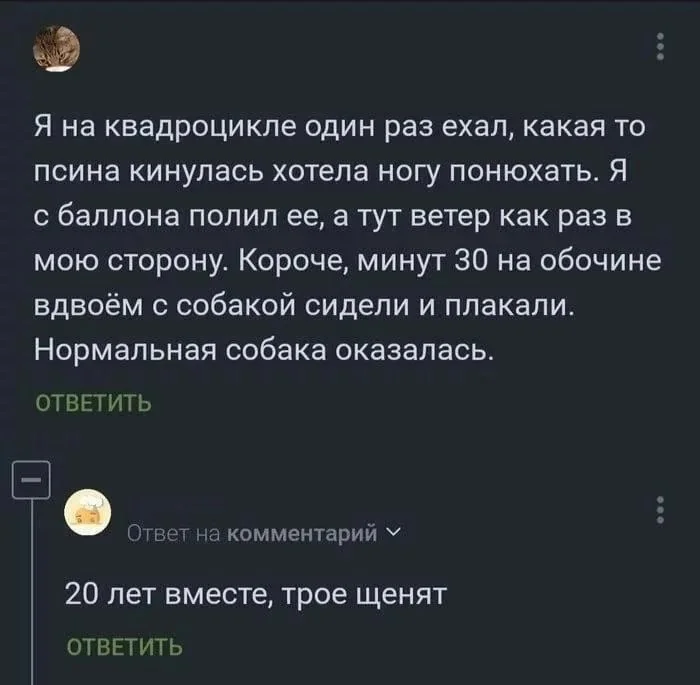 Картинок дэцл