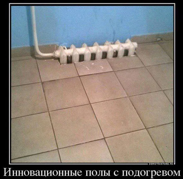 Свежак или баяны? Правильно! Баяны!