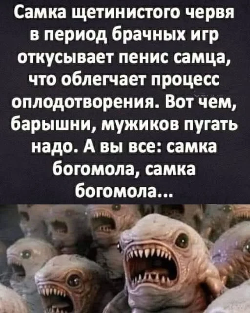 Всякие разные картинки