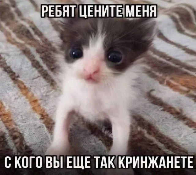 Смешные скрины из соцсетей #31