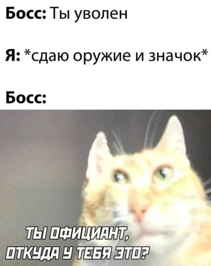 КартинкоПостик