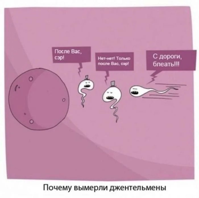Нестандартный юмор #316