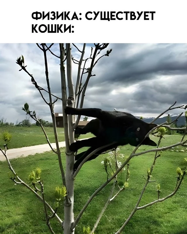 Клёвые картинки