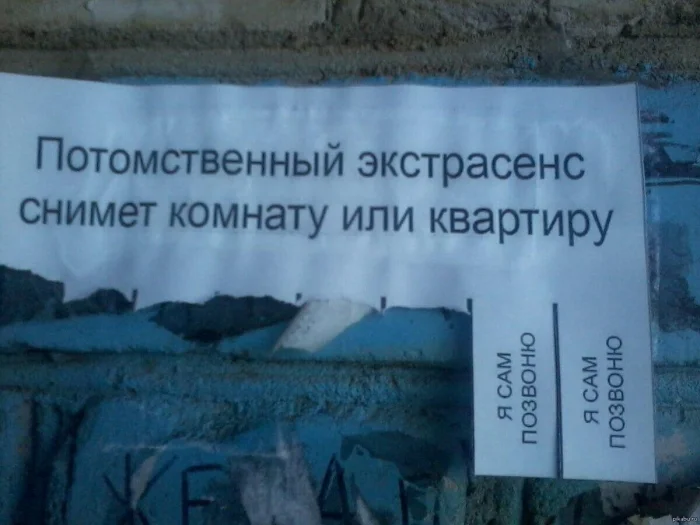 Когда объявление веселит больше, чем реклама: 19 примеров
