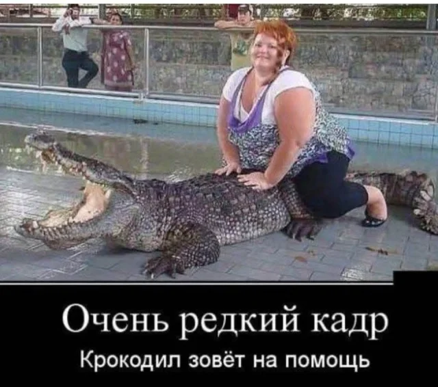 Приколы, чтобы улыбнуться