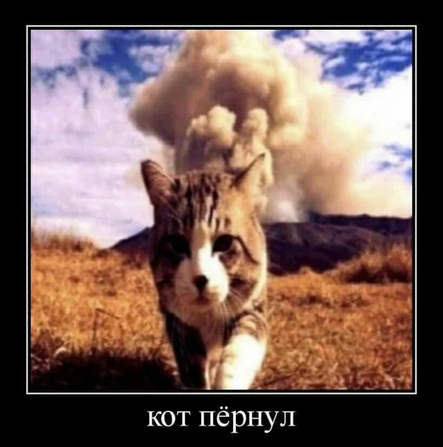 Веседые демотиваторы