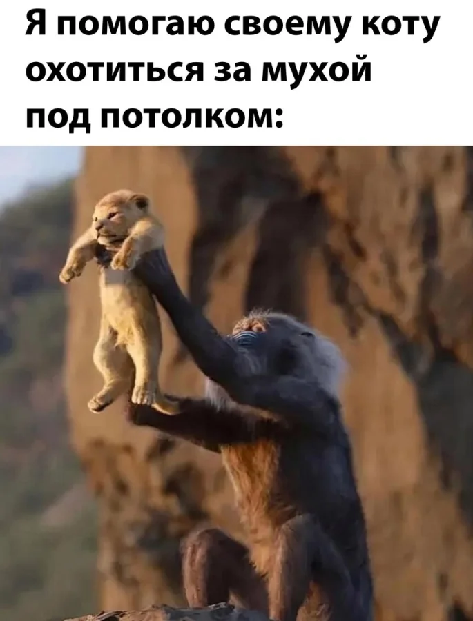КартинкоПост