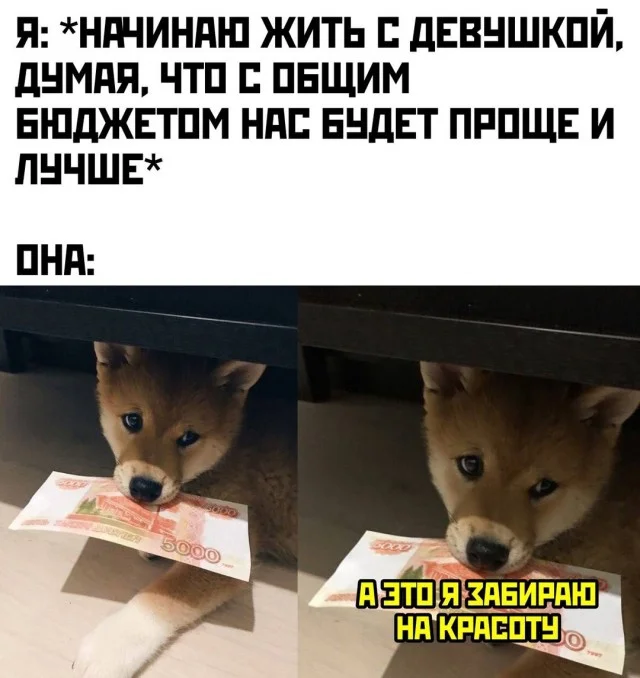 Веселые и даже смешные картинки