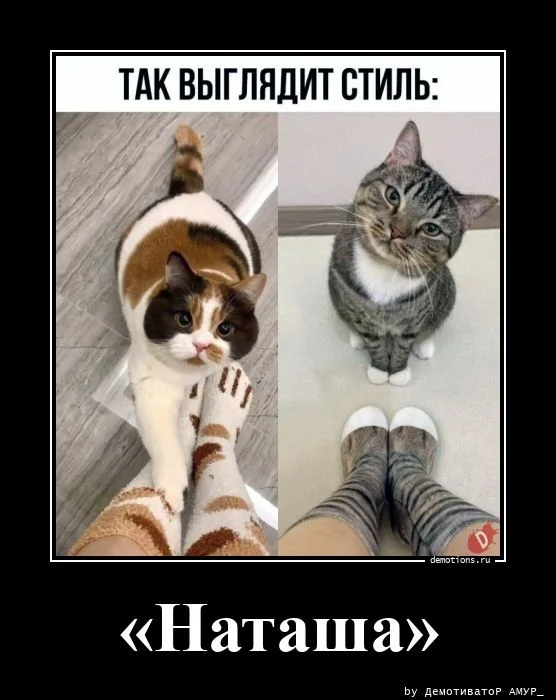 Демотиваторов порция