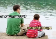 Смешные скрины из соцсетей #25