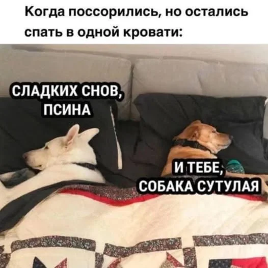 Разные прикольчики