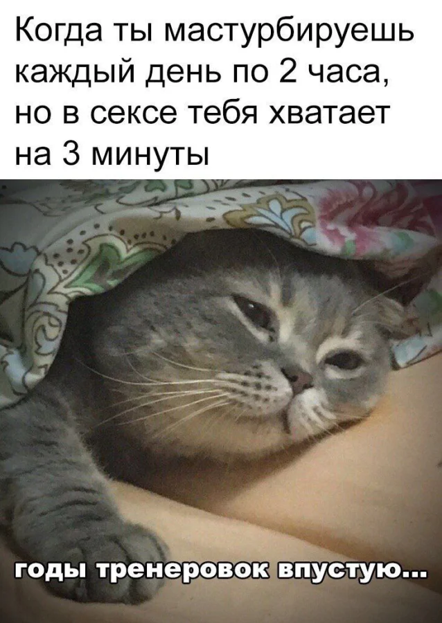 Нестандартный юмор #316