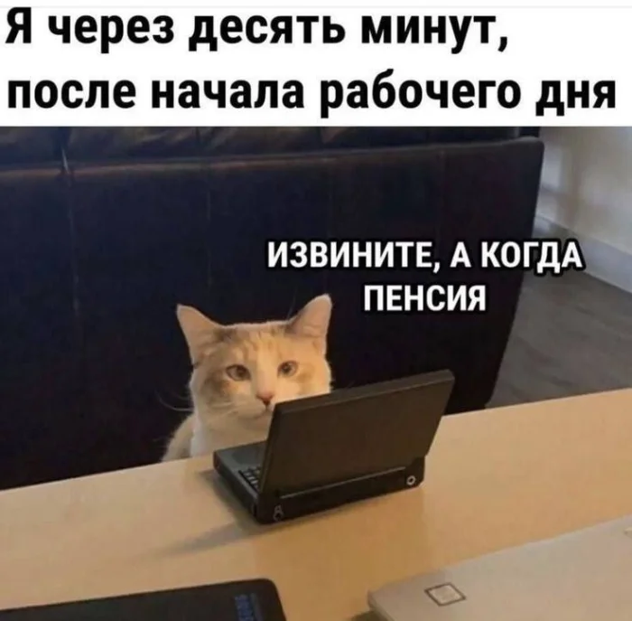 Нестандартный юмор #326