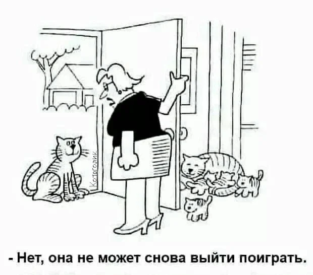 Какие-то баяны