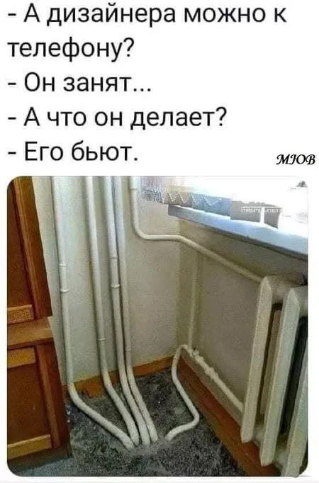 Свежак или баяны? Правильно! Баяны!