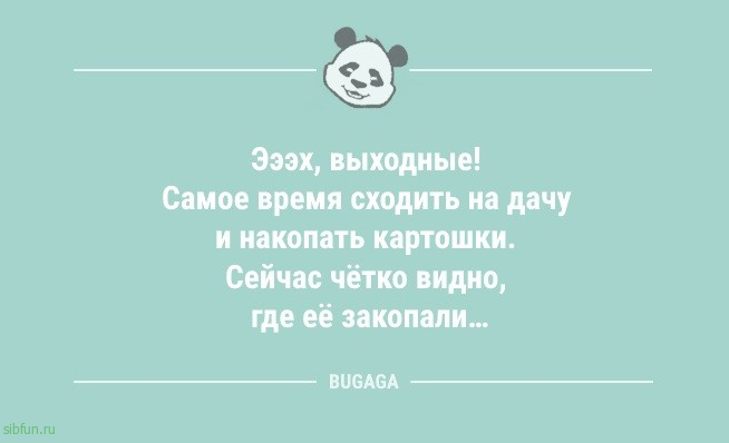 Анекдоты в конце недели: «Заходит Илон Маск в бар…» 