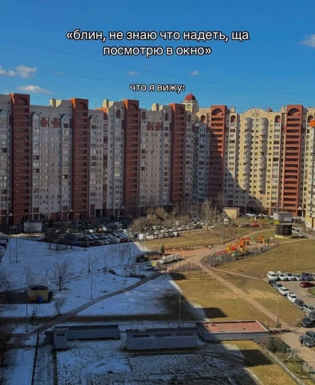 Весёлые картинки