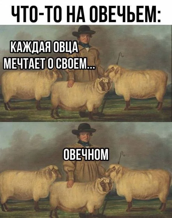 Винегрет из картинок