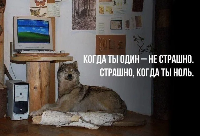 Ого, свежие приколы!