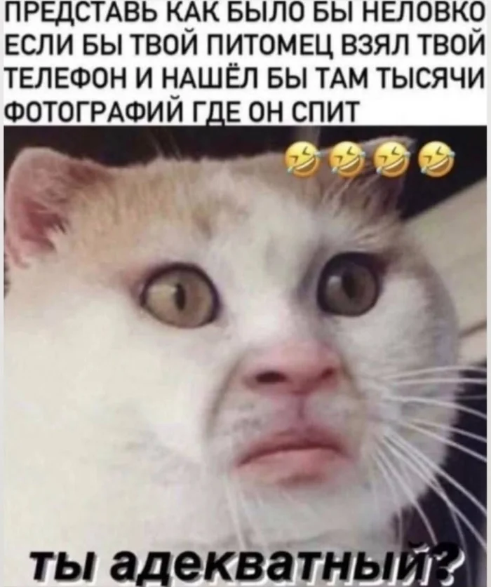 Нестандартный юмор #336