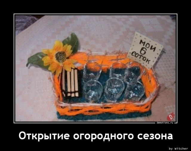 Демотиваторов порция